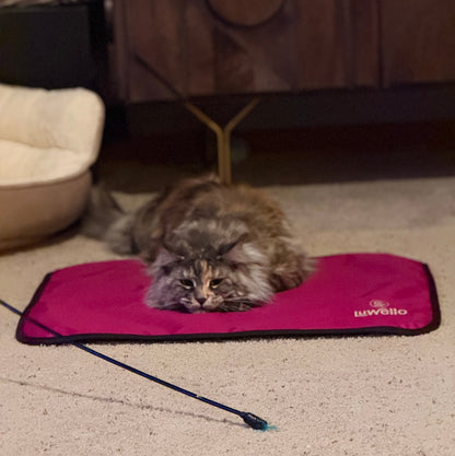 Non-Slip Settle Mat: Grip backing