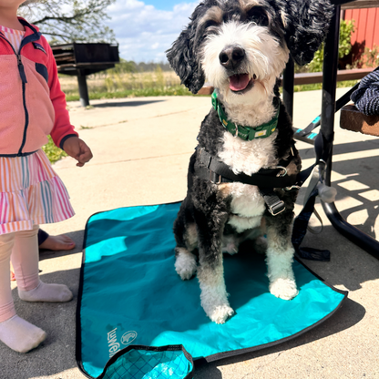Non-Slip Settle Mat: Grip backing