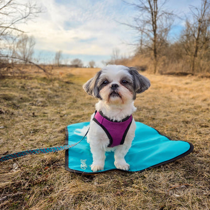 Non-Slip Settle Mat: Grip backing